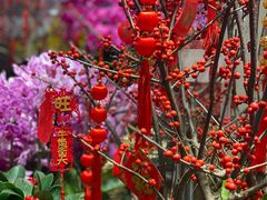 -双季花艺园艺市场(浦东店)