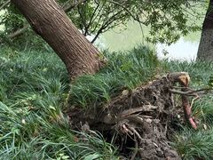 -杭州城北体育公园