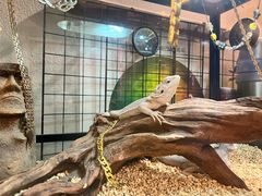 -梵薇Joker.V银饰工作室