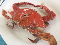 螃蟹-御唐府海珊瑚主题餐厅