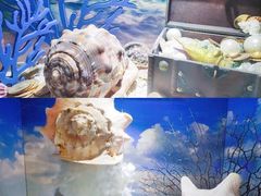 -海合安青岛极地海洋公园
