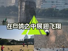 -白鹭洲公园