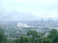 -南山植物园