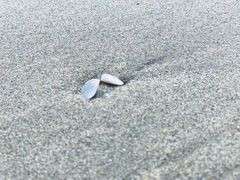 -六鳌翡翠湾滨海度假景区