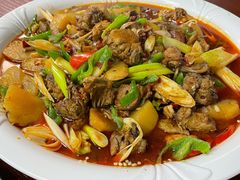 -马黑哥椒麻鸡(清江山水店)