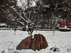 -荆川公园