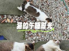 -海珠湖公园