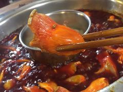 -大龙火锅(老店)