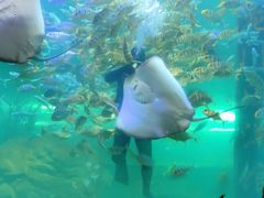 -洛阳龙门海洋馆