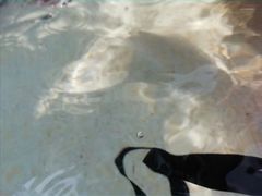 -重庆海昌加勒比海水世界