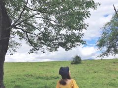 -硗碛藏寨·神木垒景区