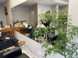 -艺鑫发型工作室YX·HAIR STUDIO