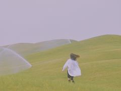 -荷兰花海