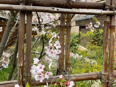 -灵福缘私房菜·农家菜(拈花湾·灵山大佛必推店)