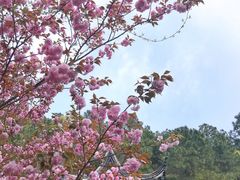 -九龙潭景区