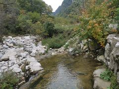 -沣峪口