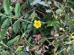 景点-野鸭湖国家湿地公园