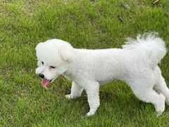 -盐官日光域房车营地·有盐餐厅