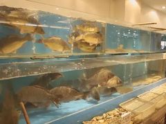水产区-六顺园清真回族饭店(工程街店)