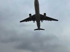 -空港花田景区
