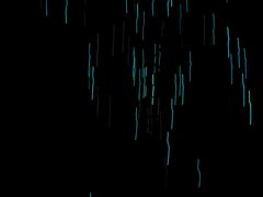 -怀托摩萤火虫洞