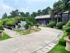 -中国唐苑