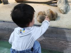 -苏州海洋馆