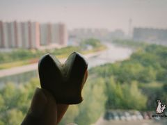 -隹木咖啡馆(宝龙广场店)