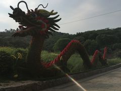 -巢湖姥山岛