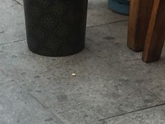 -龙姐片片鱼火锅(麦恩印象店)