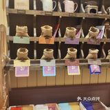 打卡蛇口宝藏咖啡厅 马仕马咖咖
