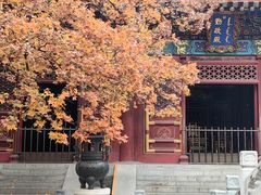 -香山公园