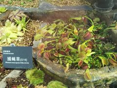 -国家植物园南园