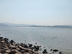 -深圳湾公园(南山区)