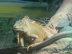 -长沙海底世界