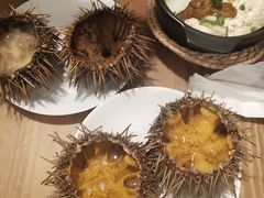 -海胆小馆(东北水饺·春柳店)