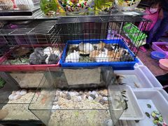 -双季花艺园艺市场(浦东店)