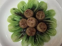 -天鹅到家·保姆月嫂育儿嫂(总店)