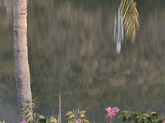 -三亚亚龙湾金棕榈度假酒店