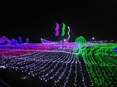 -八大山人梅湖景区