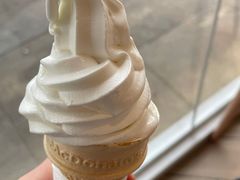 -麦当劳(塔园路店)