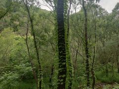 -碓臼峪自然风景区