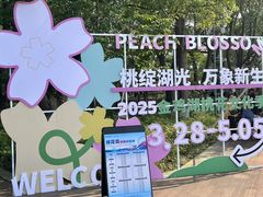 -金鸡湖桃花岛