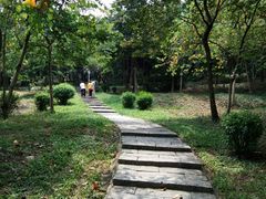 -天河儿童公园