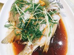 黄立鱼-台山美食一绝阿四台山黄鳝饭(阿四创作店)