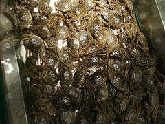 -欢乐牧场海鲜烤肉自助(牡丹园店)