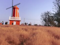 -羊亭河湿地公园