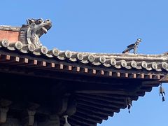 -善化寺