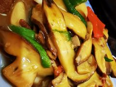 -菌之家·专业纯野生菌火锅·特色炒菌