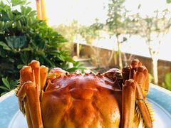 -秋月舫(阳澄湖湖滨中路店)